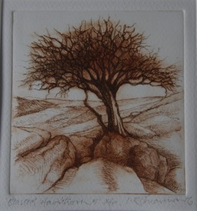 Tree on Dartmoor 